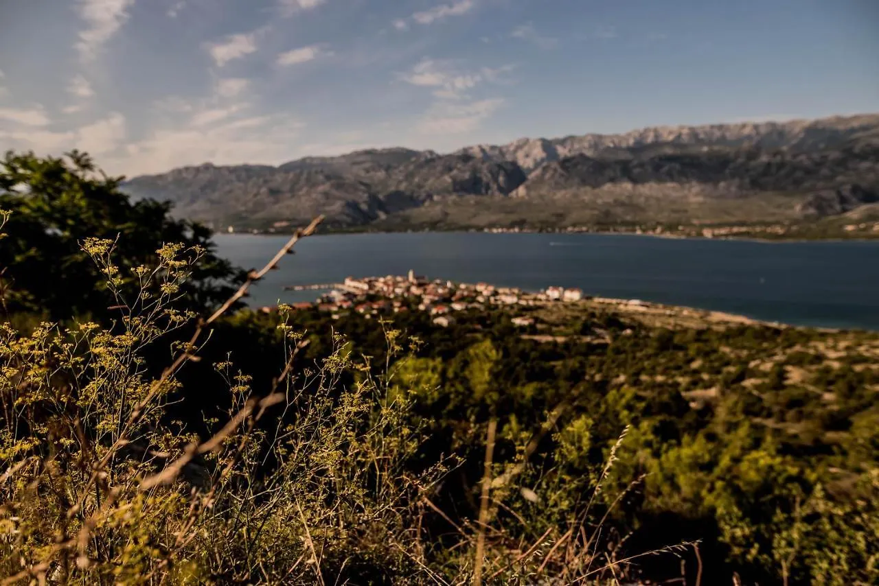 La Familia, Zadar, Vinjerac Villa